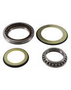 Rulmenti coloana directie cu simeringuri All Balls HONDA GL 1800 GOLD WING '18-'19