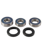 Rulmenti roata spate cu simeringuri All Balls GAS-GAS EC125 13-14, EC200 14, EC250 14, EC250 4T 14, EC300 14