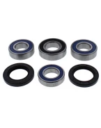 Rulmenti roata spate cu simeringuri All Balls HONDA CBR1000RA ABS 09-16, CBR1000RR 08-16