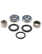 Rulmenti roata spate cu simeringuri All Balls YAMAHA YZF-R6 17-18