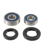 Rulmenti roata spate cu simeringuri All Balls HONDA CRF 250F 19