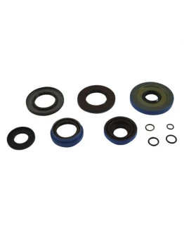 Simeringuri diferential spate All Balls CF MOTO, POLARIS ACE, BRUTUS, FOREST, HAWKEYE, RANGER, RZR, SPORTSMAN, WORKER