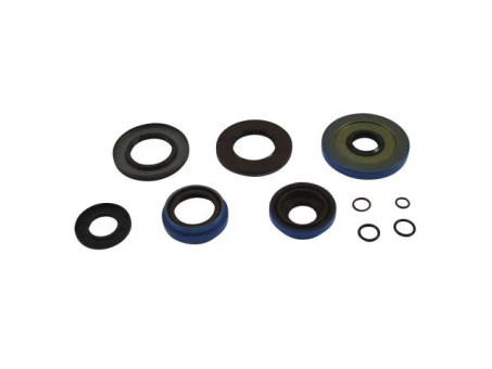 Simeringuri diferential spate All Balls CF MOTO, POLARIS ACE, BRUTUS, FOREST, HAWKEYE, RANGER, RZR, SPORTSMAN, WORKER