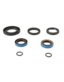 Simeringuri diferential spate All Balls POLARIS HAWKEYE 2X4 06-11, HAWKEYE 4X4 06-07, SPORTSMAN 300 4X4 08-10, SPORTSMAN 400 HO 4X4 09-10