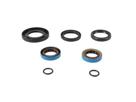 Simeringuri diferential spate All Balls POLARIS HAWKEYE 2X4 06-11, HAWKEYE 4X4 06-07, SPORTSMAN 300 4X4 08-10, SPORTSMAN 400 HO 4X4 09-10