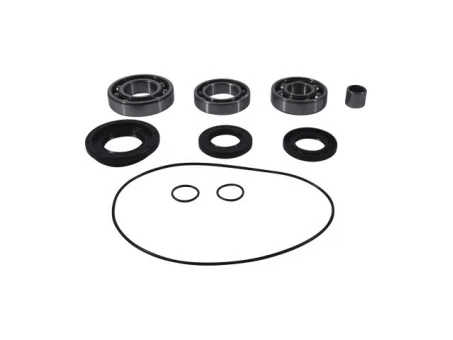 Kit reparatie diferential spate All Balls CAN AM OUTLANDER 450/500/650/800/1000, RENEGADE 500/570/800/850/1000