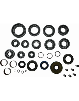 Kit reparatie diferential spate All Balls POLARIS ACE 570 EU 17-18, ACE 570 HD 17-19