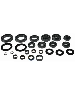 Kit reparatie diferential spate All Balls POLARIS SPORTSMAN 500 4X4 RSE '00