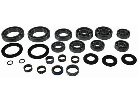 Kit reparatie diferential spate All Balls POLARIS SPORTSMAN 500 4X4 RSE '00