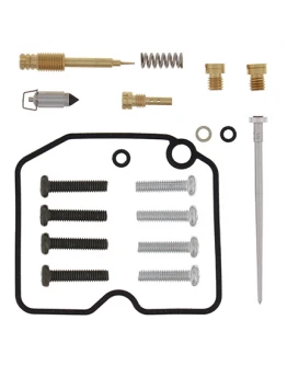 Kit reparatie carburator All Balls ARCTIC CAT 650 4X4 H1 05-06