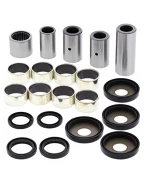 Kit reparatie articulatie (prindere) brat bascula All Balls YAMAHA YFM700R RAPTOR '15-'17'
