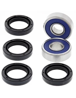 Kit reparatie brat fata superior/inferior (A-Arm) All Balls ARCTIC CAT DVX 250 '06-'09, 300 '09-'12