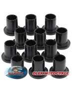 Kit reparatie suspensie spate independenta (brate A-Arm) All Balls POLARIS RANGER/RZR 570/9001000