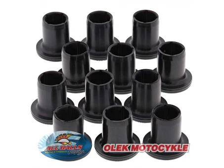 Kit reparatie suspensie spate independenta (brate A-Arm) All Balls POLARIS RANGER/RZR 570/9001000