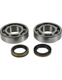 Rulmenti arbore cotit cu simeringuri All Balls BETA EVO 2T 125 '13-'21, EVO 2T 200 '13-'21, EVO 2T 250 '13-'21, EVO 2T 300 '13-'21, EVO 2T SS 300 '18