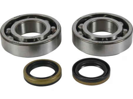 Rulmenti arbore cotit cu simeringuri All Balls BETA EVO 2T 125 '13-'21, EVO 2T 200 '13-'21, EVO 2T 250 '13-'21, EVO 2T 300 '13-'21, EVO 2T SS 300 '18