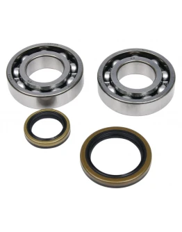 Rulmenti arbore cotit cu simeringuri All Balls BETA EVO 4T 250 '09-'18, EVO 4T 300 '09-'21
