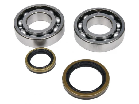 Rulmenti arbore cotit cu simeringuri All Balls BETA EVO 4T 250 '09-'18, EVO 4T 300 '09-'21