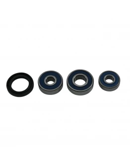 Rulmenti roata spate cu simeringuri All Balls HONDA C 125 ABS '19-'21