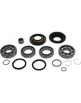 Kit reparatie diferential spate All Balls HONDA PIONEER 700 '14-'21, Pioneer 700 Deluxe '17-'21
