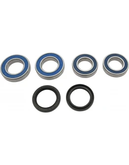 Rulmenti roata spate cu simeringuri All Balls DUCATI Monster 821 '15-'20, Monster 821 '15-'17, Multistrada 950 '18-'20, Multistrada Enduro 1200 '16-'19, Multistrada Enduro 1260 '20, Panigale 899 '14-'15, Panigale 959 '16-'19