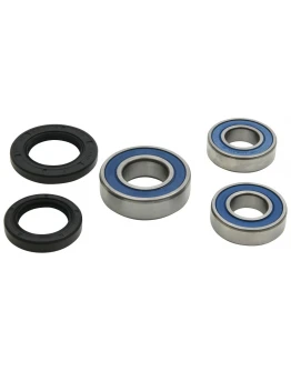 Rulmenti roata spate cu simeringuri All Balls BMW G 310GS '18-'19, G 310R '18-'19