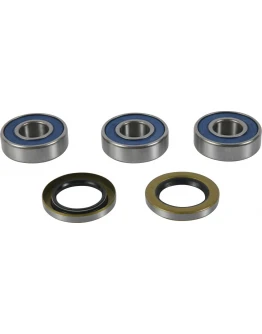 Rulmenti roata spate cu simeringuri All Balls BMW F 700GS '17, F 800R '18