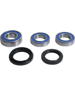 Rulmenti roata spate cu simeringuri All Balls BMW F 750GS '19, F 850GS '19, F 900R/XR '20