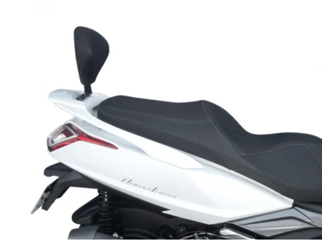Sistem de fixare SHAD pentru spatar SHAD