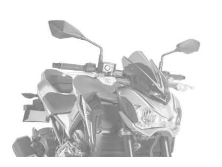 Windshield PUIG NEW. GEN SPORT carbon look