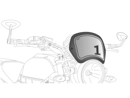Spare PUIG FRONTAL PLATE carbon look