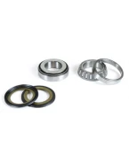 PROX ŁOŻYSKA GŁÓWKI RAMY Z USZCZELNIACZAMI SUZUKI RM 125 79-80, RM 250 79-80, YAMAHA XV 535 VIRAGO, XJ600`84-91,XS,XV 125/250 (22-1007) | 24.110007