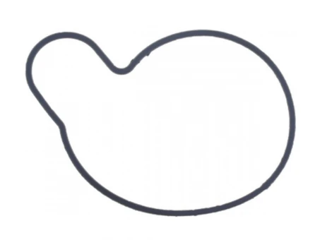 ATHENA USZCZELKA OBUDOWY POMPY WODY SUZUKI VX 800 90-97, VL 800 05-17 | S410510024021