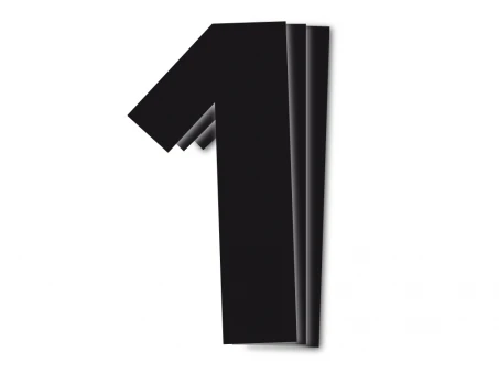 Număr start BLACKBIRD 16CM X 7,5CM culoare Negru NR1 (3 buc)