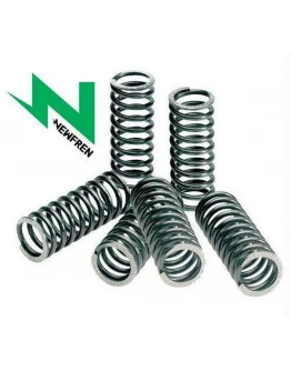 Kit arcuri ambreiaj NEWFREN - HONDA CBR600RR`03-15, CBF, CBF 600 07-11 (EBS101)
