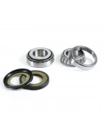 PROX ŁOŻYSKA GŁÓWKI RAMY Z USZCZELNIACZAMI BUELL FIREBOLT / LIGHTING, CAGIVA ELEPHANT / RAPTOR, HARLEY-DAVIDSON (22-1032) | 24.110032