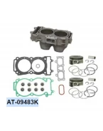 Cilindru complet BRONCO POLARIS 900 ACE 16, RANGER 900 13-16, RZR 4/ RZR 900 15-16 (STD. 93 MM) | AT-09483K