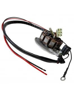 Stator alternator ELECTREX - cu regulator tensiune KTM/GAS GAS 125 '03-'04, 200 '00-'04, EC 250 '00-'04, EC 300 '00-'04