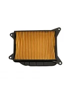 Filtru aer carter BIKETEC Yamaha Majesty 400, X-MAX 400 (HFA4406) | BT135828