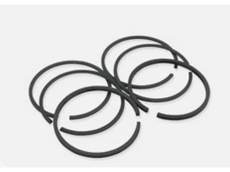 PROX PIERŚCIENIE TŁOKOWE HONDA TRX 350 RANCHER 00-06 (79.00MM) | 02.1480.050