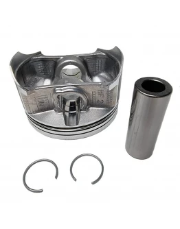 Piston Vertex HONDA TRX 680/PIONEER 700 '06-'23, (101,96MM) (standard)