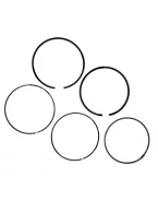 VERTEX TŁOK HONDA TRX 680/PIONEER 700 06-23, (101,96MM) (STD.) | 24484