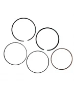 VERTEX TŁOK HONDA TRX 680/PIONEER 700 06-23, (102,46MM) (+0,50MM) | 24484050