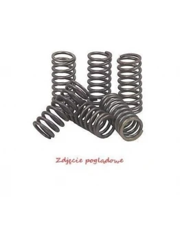 Arcuri ambreiaj BRONCO HONDA ATC 250R '86, TRX 250 FOURTRAX '86-'87, TRX 450R/ER '04-'14, TRX 700XX '08-'11