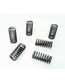 Arcuri ambreiaj motor PSYCHIC pentru HONDA CRF 230F '03-'16, CR 480R '82, (EBS024)