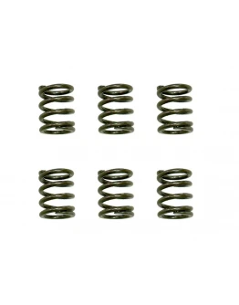 Arcuri ambreiaj motor PSYCHIC pentru KTM SX 65 '09-'16, XC 65 '09-'10 (EBS021)