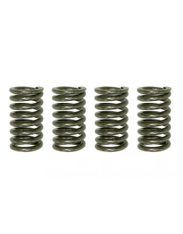 Arcuri ambreiaj motor PSYCHIC pentru HONDA CR 250R '81-'82, KAWASAKI KX 80 '98-'00, KX 85 '01-'21, KX 100 '88-'19 (EBS041)