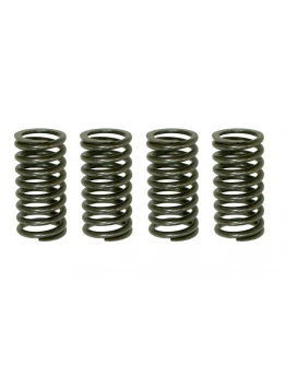 Arcuri ambreiaj motor PSYCHIC pentru KAWASAKI KDX 200 '05-'06, HONDA NX 250R '88-'90 (EBS030)