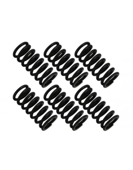Arcuri ambreiaj motor PSYCHIC pentru KTM EGS 250 '94-'99, EXC 250 '94-'05, MXC 250 '98-'99, SX 250 '94-'12, XC/XC-W 250 '06-'12, EGS 300 '94-'99, EXC 300 '94-'05, MXC '94-'05, XC 300 '06-'14, XC-W 300 '06-'11, EGS/EXC/MXC 360 '96-'97 (EBS080)