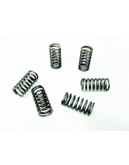 Arcuri ambreiaj motor PSYCHIC pentru HONDA XL 600V TRANSALP '89-'90 (EBS033)